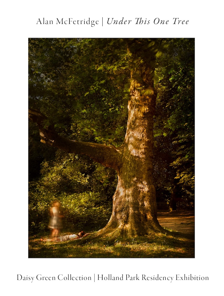 Under This One Tree - Photography Exhibition